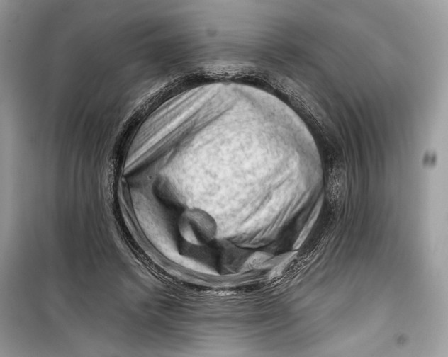 X0000099290448200805231324