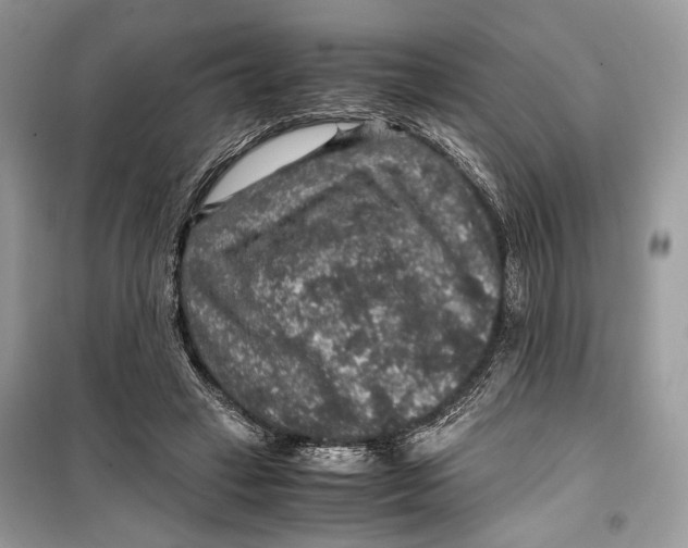 X0000099290449200805231324