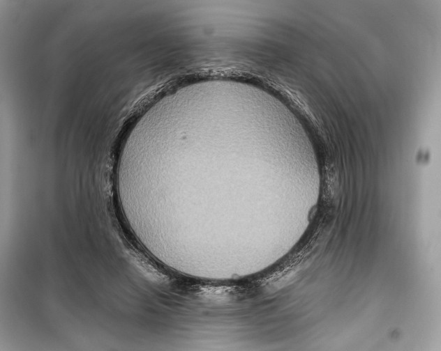 X0000099290450200805231324