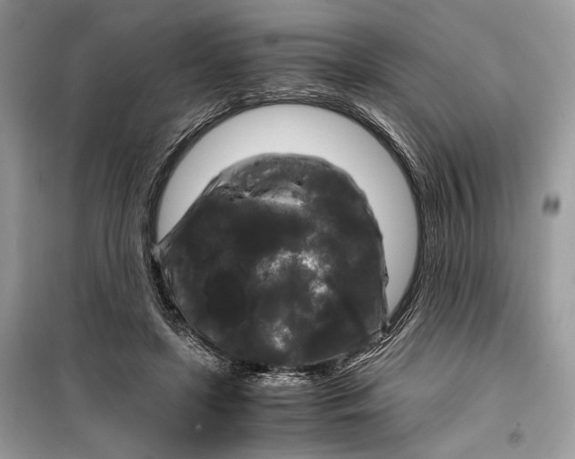 X0000099290451200805231324