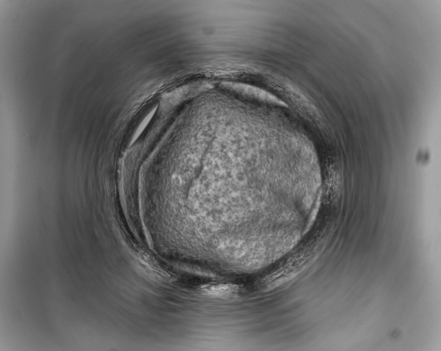 X0000099290452200805231324