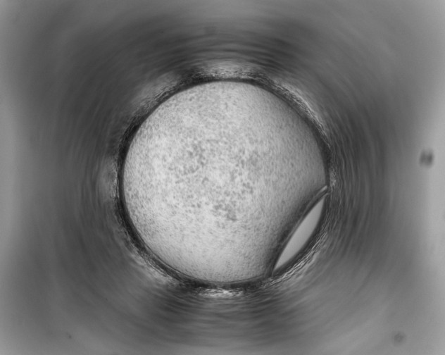 X0000099290453200805231324