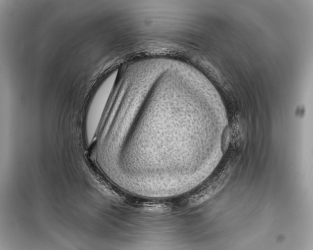 X0000099290454200805231324