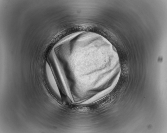 X0000099290456200805231324