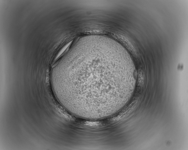 X0000099290457200805231324