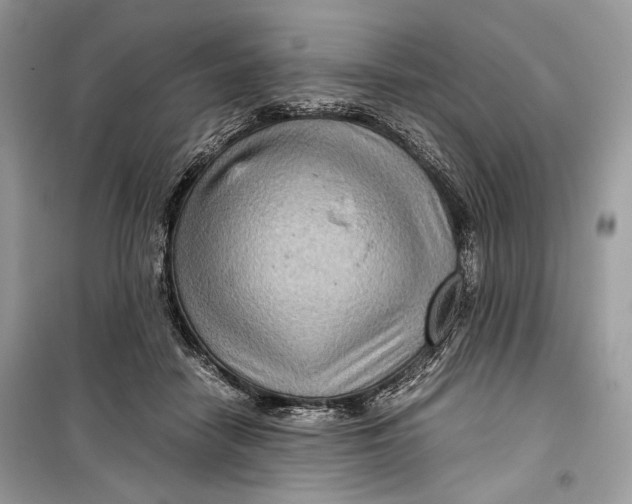 X0000099290458200805231324