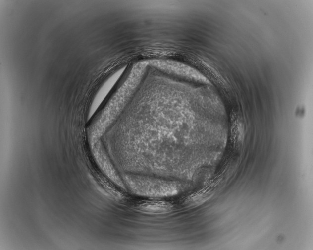 X0000099290459200805231324