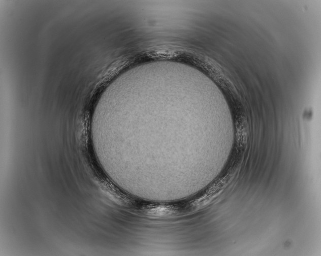 X0000099290460200805231324