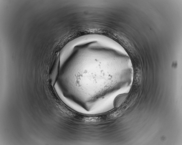 X0000099290461200805231324