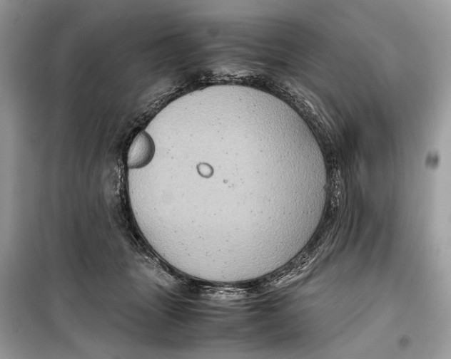 X0000099290463200805231324