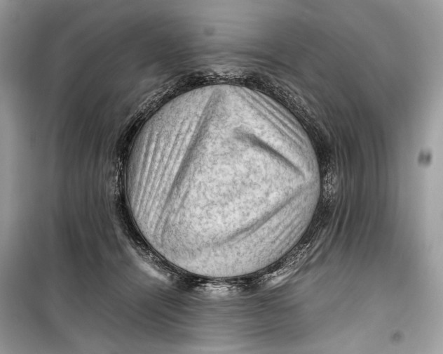 X0000099290464200805231324