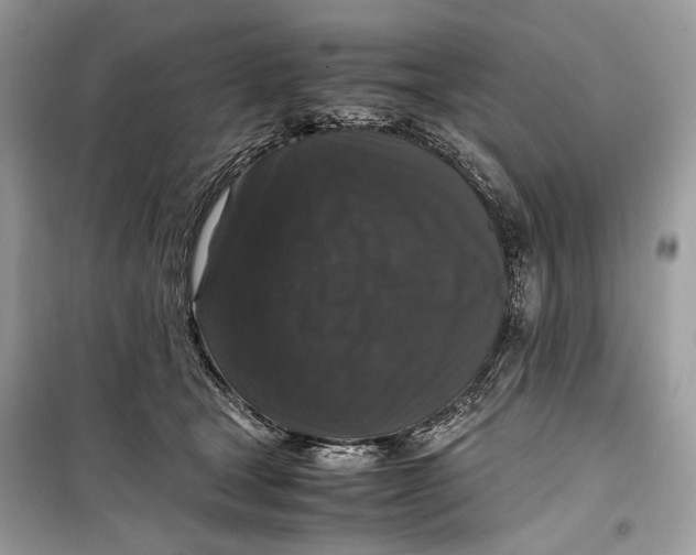 X0000099290465200805231324