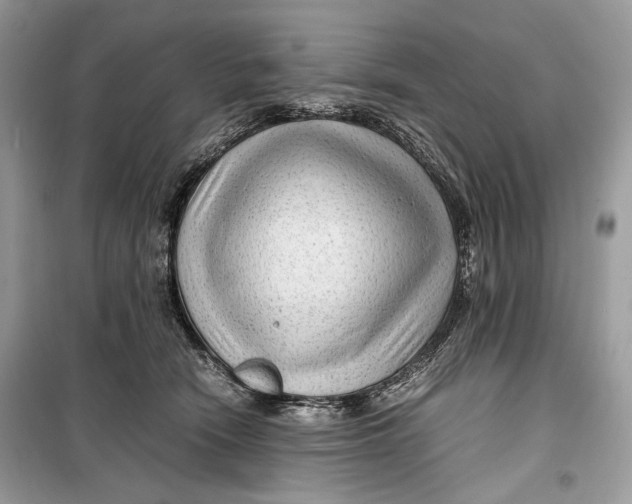 X0000099290466200805231324