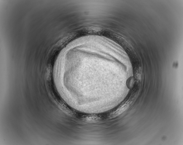 X0000099290468200805231324