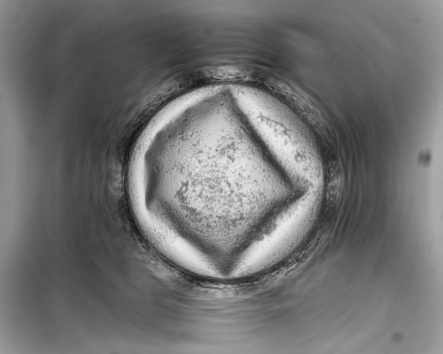 X0000099290469200805231324