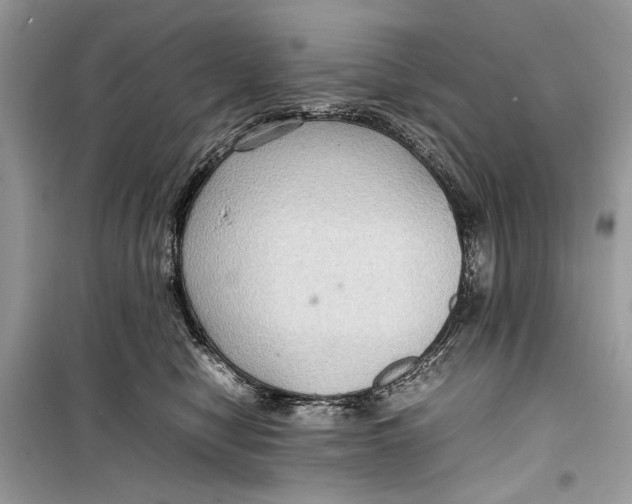 X0000099290470200805231324