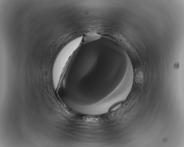 X0000099290471200805231324