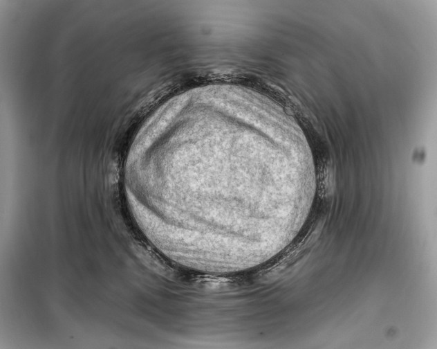 X0000099290472200805231324