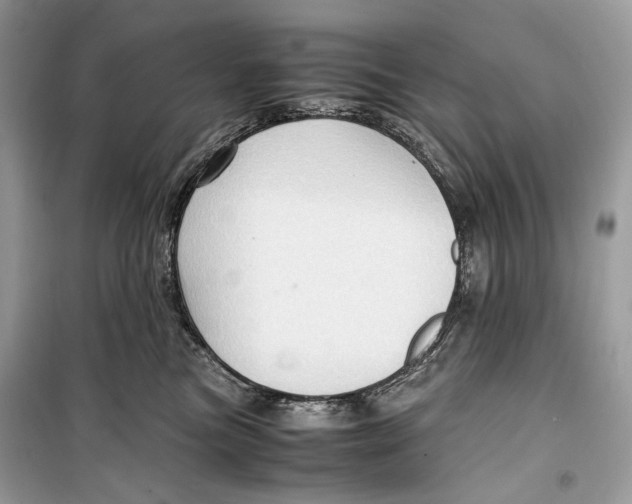 X0000099290473200805231324