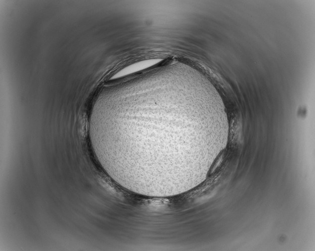 X0000099290474200805231324