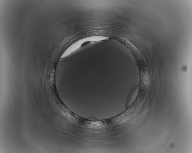 X0000099290475200805231324