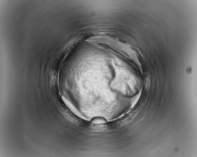 X0000099290476200805231324