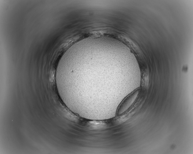 X0000099290477200805231324