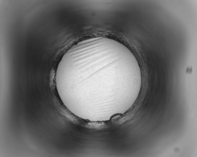 X0000099290480200805231324