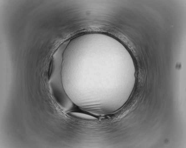 X0000099290481200805231324