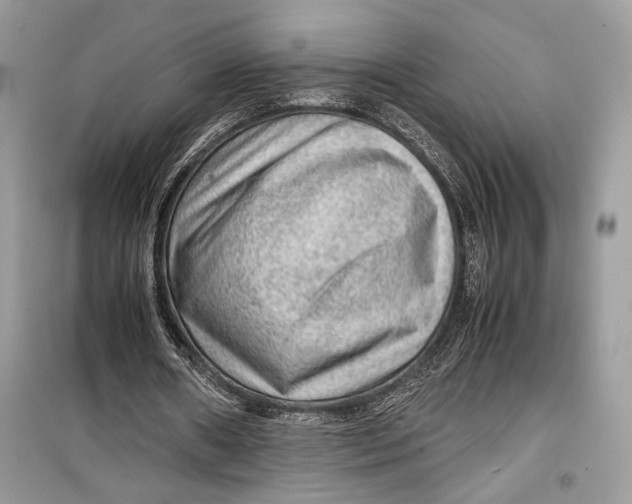 X0000099290482200805231324