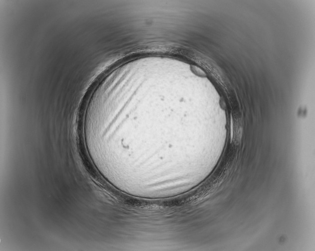 X0000099290483200805231324