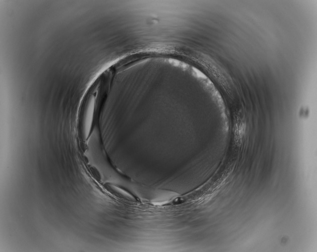 X0000099290484200805231324