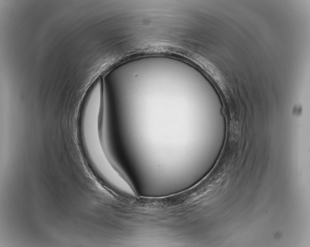 X0000099290485200805231324