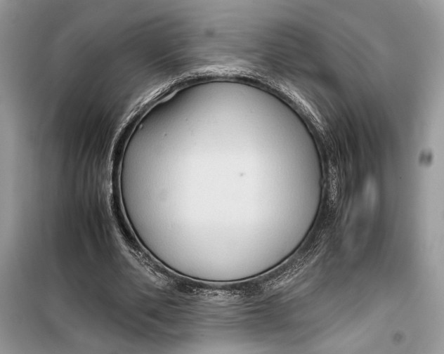 X0000099290486200805231324