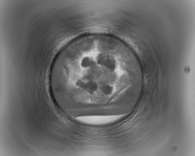 X0000099290487200805231324