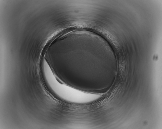 X0000099290488200805231324