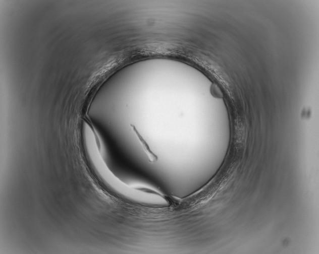 X0000099290489200805231324