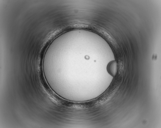 X0000099290490200805231324