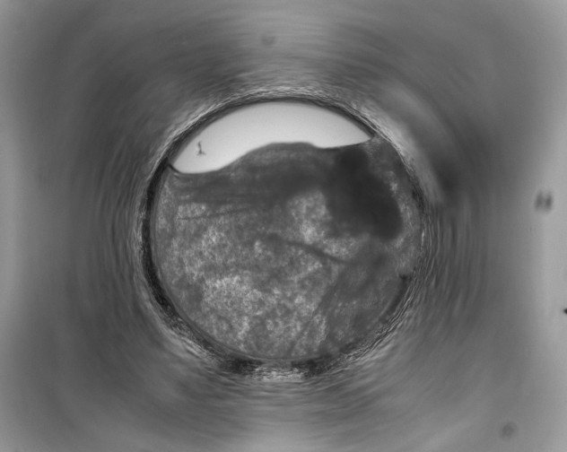 X0000099290491200805231324