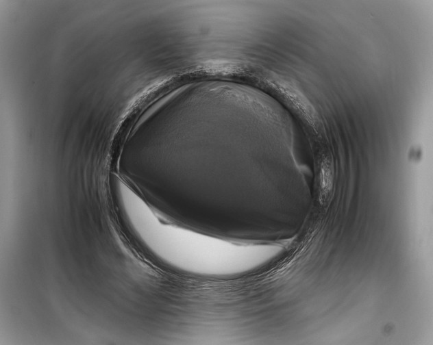 X0000099290492200805231324