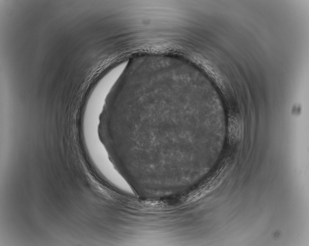 X0000099290493200805231324