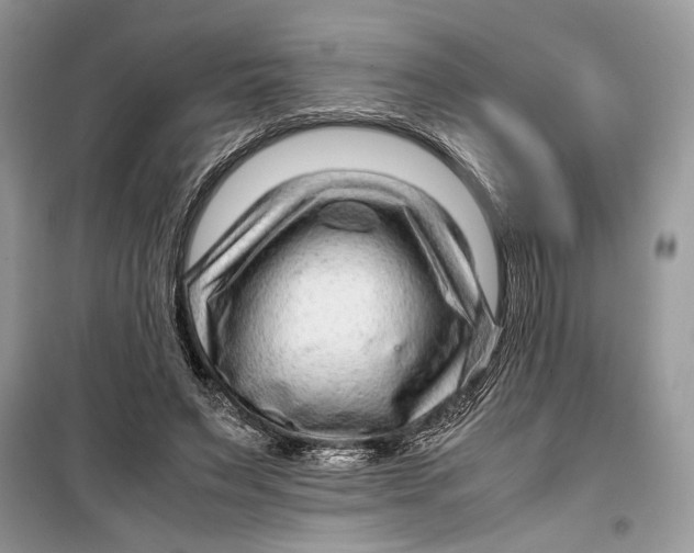 X0000099290495200805231324