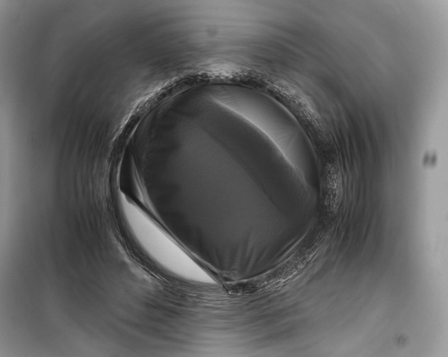 X0000099290496200805231324