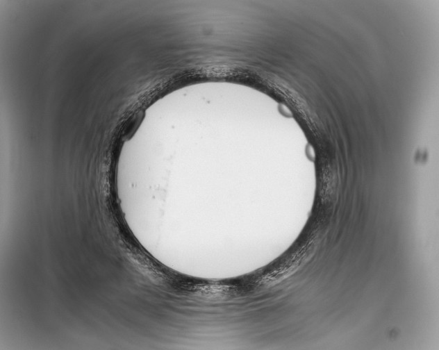 X0000099290497200805231324