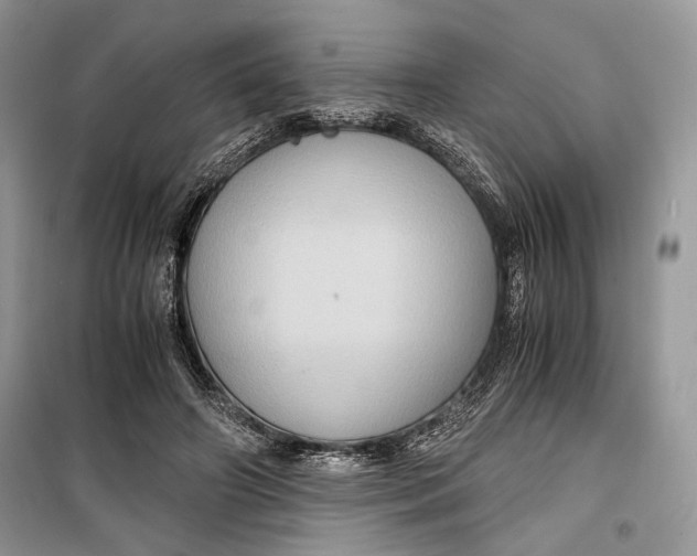 X0000099290498200805231324