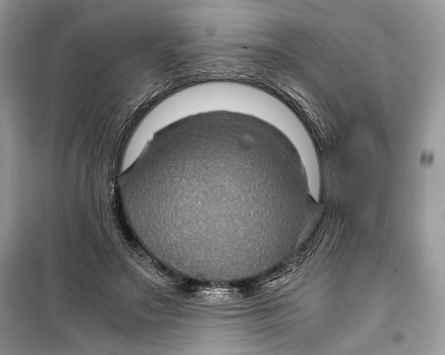 X0000099290499200805231324