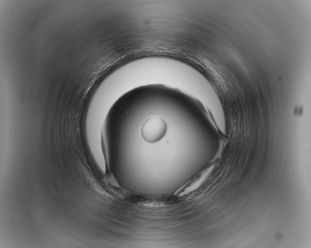 X0000099290500200805231324