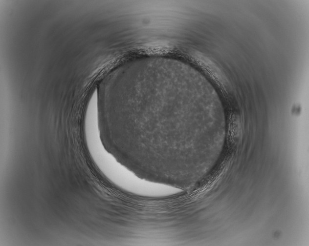 X0000099290501200805231324