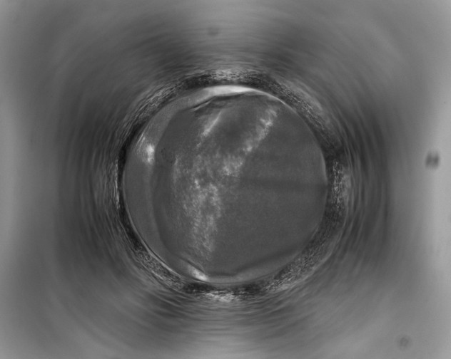 X0000099290502200805231324