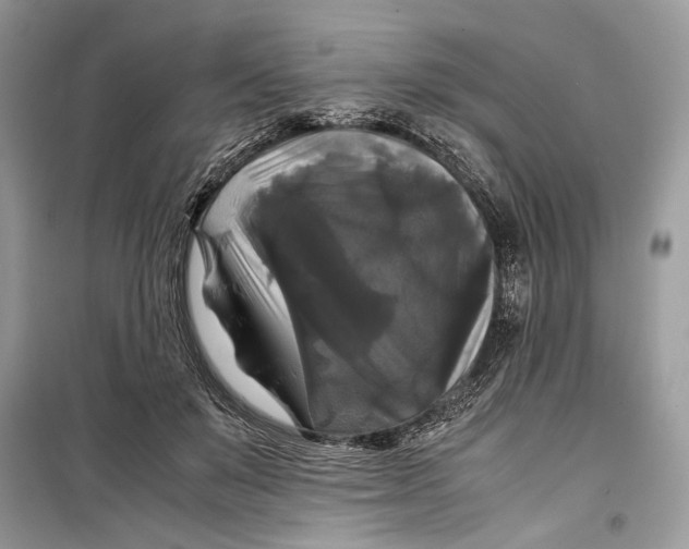 X0000099290503200805231323